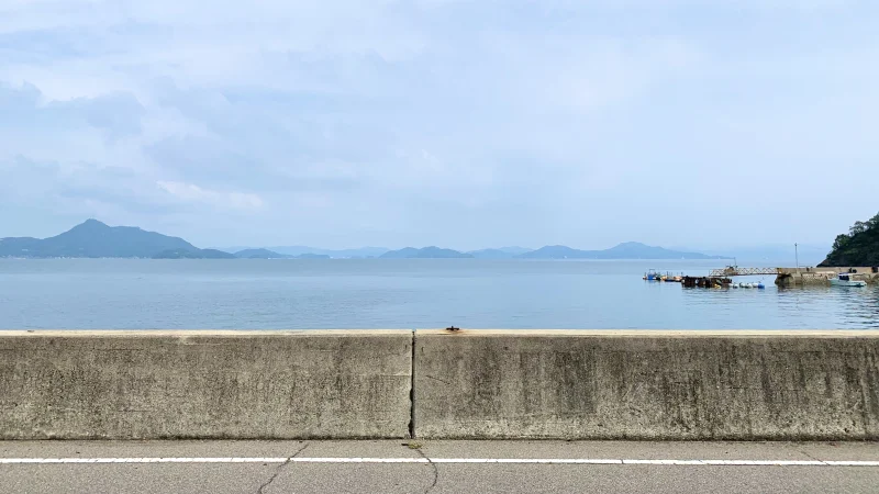 椋浦港