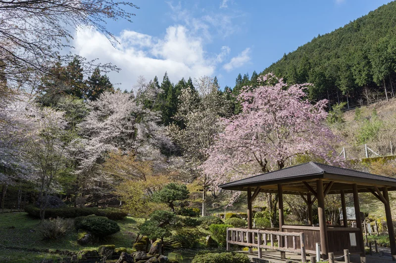 乳児の森公園