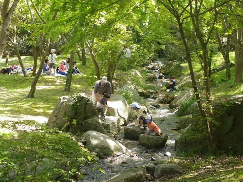 涸沼自然公園