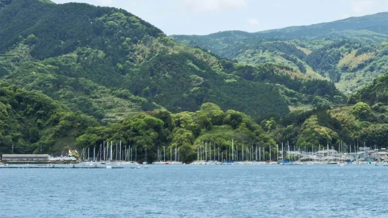 長浜城跡