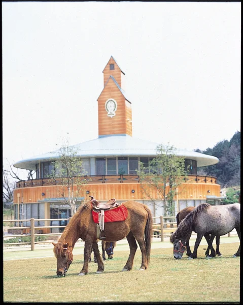 野間馬ハイランド