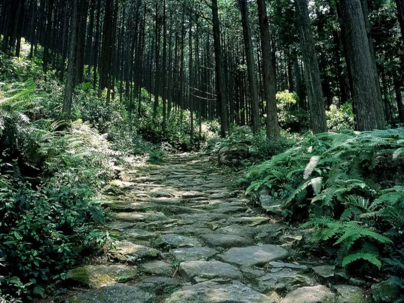 馬越峠の石畳