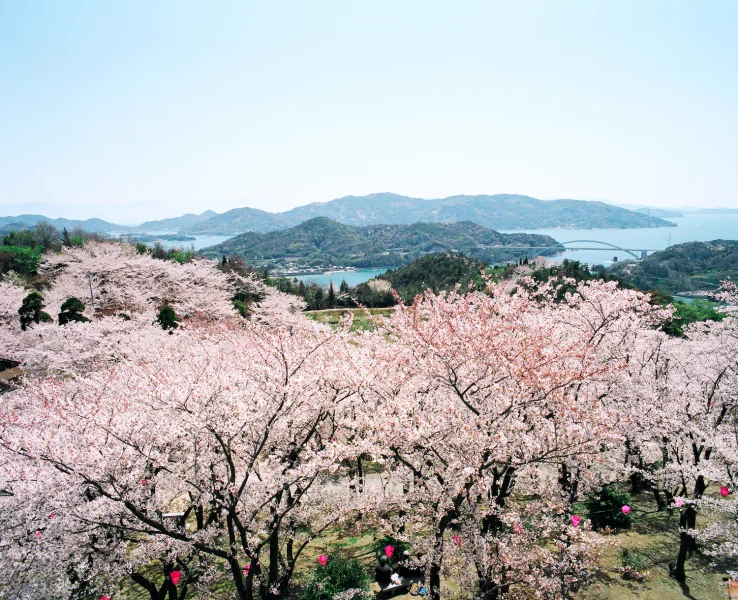 開山公園