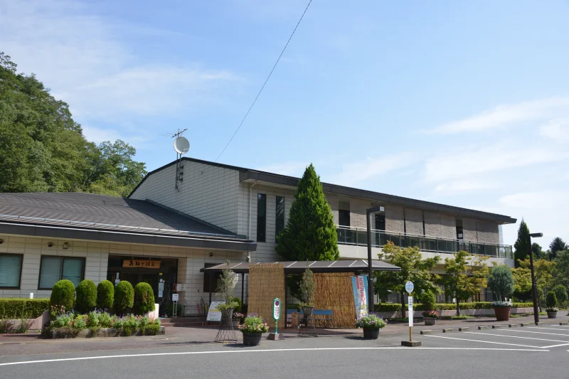 森林の温泉