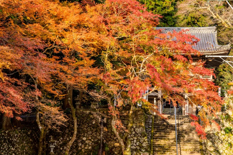 甘南美寺
